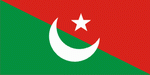 Флаг Татарского общественного центра